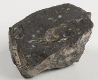 M 02839
<br/>
<br/>
<em></em>